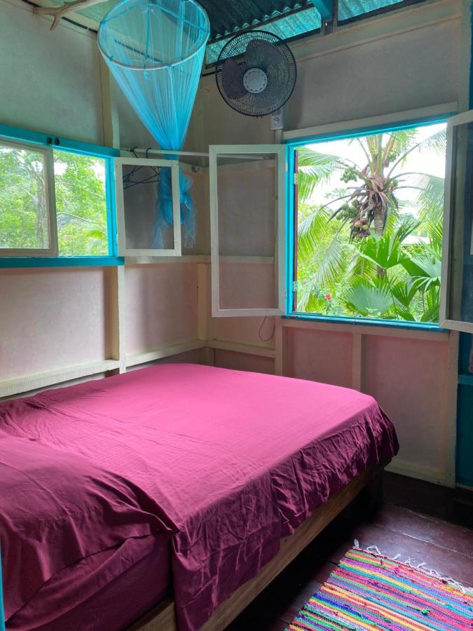 Hidden Jungle Beach House Puerto Viejo de Talamanca Luaran gambar